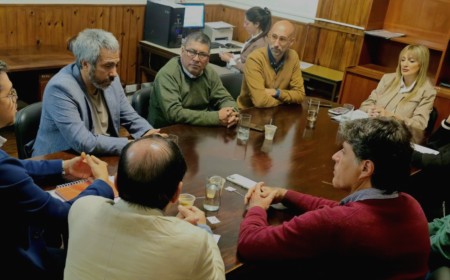 Déficit de anestesistas en el interior: Expusieron ante Diputados la situación crítica en Salta