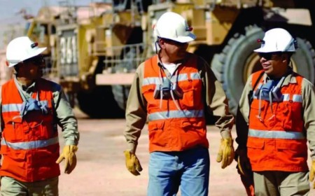 La plataforma laboral minera empieza a mostrar impacto: 1.500 interacciones en un año