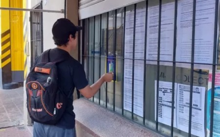 Comienza la renovación del Pase Libre 2026: Quiénes deben hacerlo y cómo gestionar el trámite