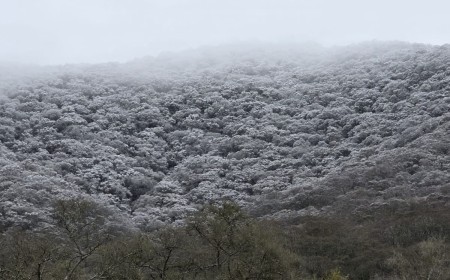 Bajas temperaturas, heladas y agua-nieve en Salta durante los próximos días