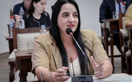 No me sumé para buscar un cargo, que los libertarios se queden tranquilos