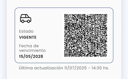 La licencia digital podrá llevarse en el celular con la App Muni Salta
