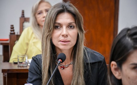 Concejales desconectados: Ahora quieren cambiar el escudo de la Ciudad