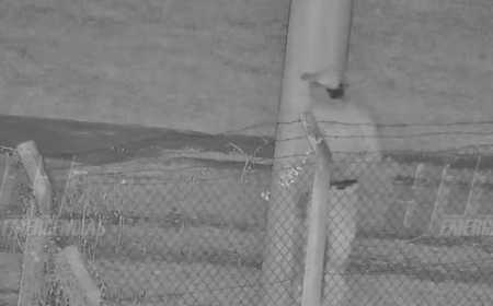 Atrapado por las cámaras de Videovigilancia: Robó un celular, huyó y terminó tras las rejas