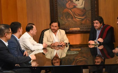 Ganfeng Lithium apuesta fuerte por Salta: Anunció un megaproyecto de US$2.000 millones