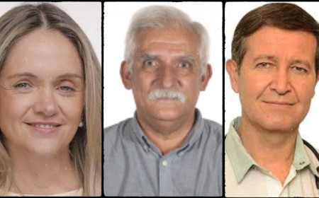Flores, Zapata y Biella serán los nuevos representantes en Diputados