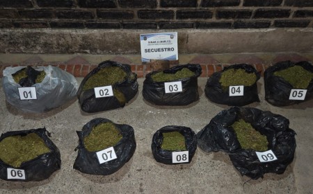 Nueve bolsas y miles de dosis: Incautan más de 46 mil dosis de marihuana en Chicoana