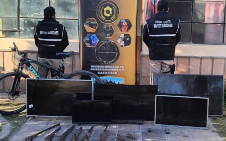 Golpe al hampa en los Valles: Desarticulan peligrosa banda de ladrones en Cafayate