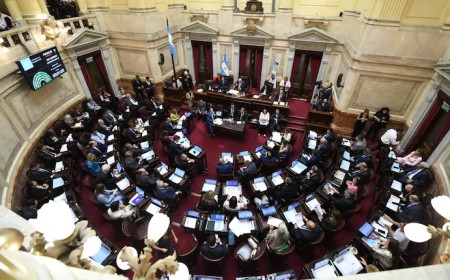 El Senado acelera el financiamiento universitario y la emergencia pediátrica pese a las amenazas de veto