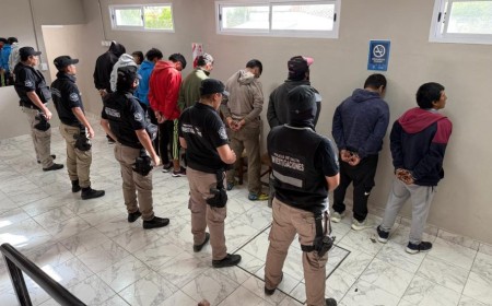 Ruta del abigeato desbaratada: 16 allanamientos, 12 detenidos y un circuito ilegal al descubierto en Rosario de Lerma