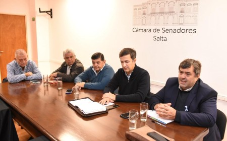 Debaten en Salta una ley provincial para regular el transporte digital entre municipios