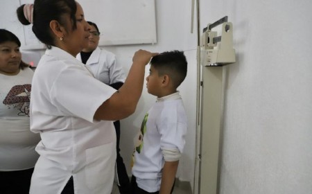 Certificados escolares: Enero cerró con alta demanda en la capital