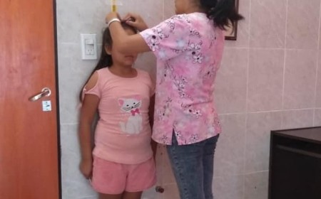Certificados escolares: asegúrate de cumplir el requisito para el ingreso 2025