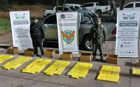 Más de 172 kilos de cocaína incautados en un operativo conjunto entre la Policía de Salta y Gendarmería Nacional