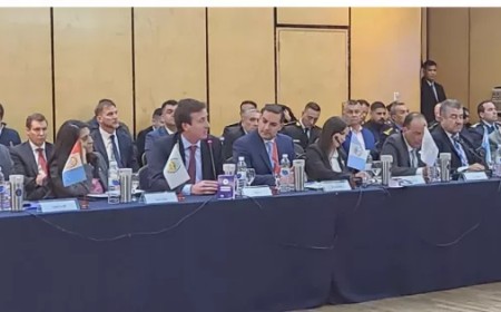 Solá Usandivaras en el Consejo de Seguridad Interior: “Por primera vez, Salta trabaja junto a todas las fuerzas nacionales contra el narcotráfico”