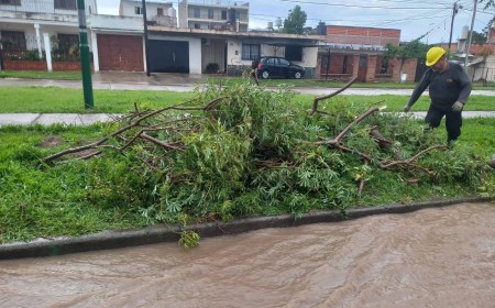 Alerta amarilla vigente en la ciudad: La lluvia dejó 17 incidentes y refuerzan la prevención