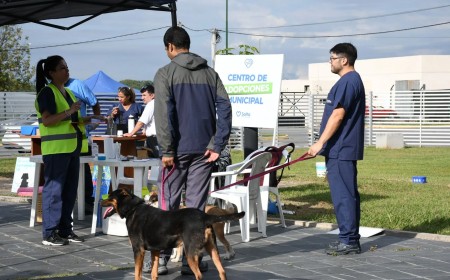 Del abandono al hogar: Dos perros fueron adoptados en una jornada que apuesta a la tenencia responsable
