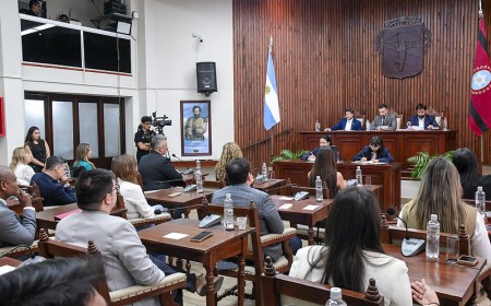Licencias digitales y vetos del Ejecutivo marcan la agenda del Concejo