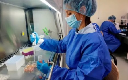 Primer caso de síndrome urémico hemolítico en Salta en 2025: un niño de Apolinario Saravia
