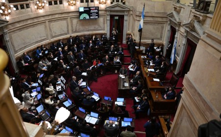 El Senado se prepara para rechazar el veto a la ley de emergencia en discapacidad y avanza la puja por el control del temario