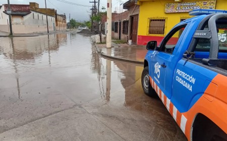 Más de 30 incidentes por la tormenta y fuerte despliegue municipal