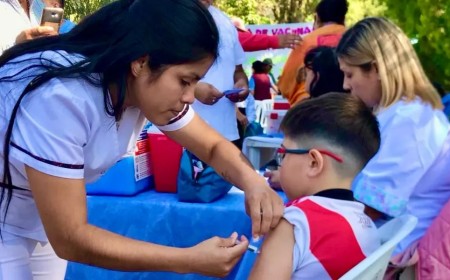 Antes del inicio del ciclo escolar, los niños deben recibir las vacunas correspondientes