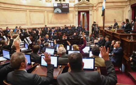 Triple derrota para el Gobierno: el Senado sancionó leyes sobre jubilaciones, moratoria previsional y emergencia en discapacidad