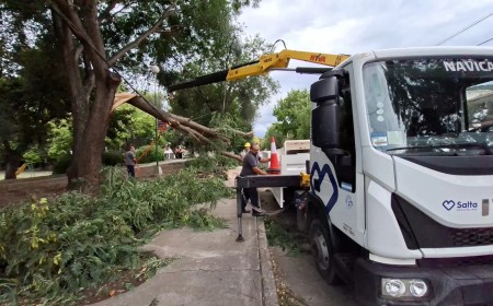 Tormentas persistentes: 31 incidentes y equipos municipales desplegados