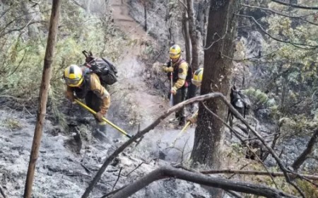 Brigadistas salteños, clave en la etapa de control del incendio en Los Alerces