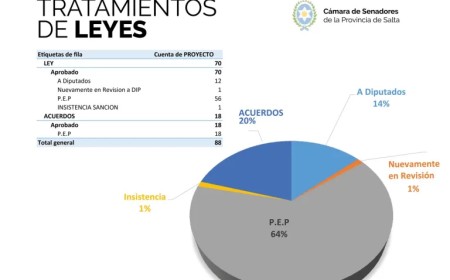 El Senado de Salta cierra un año fructífero en actividad legislativa