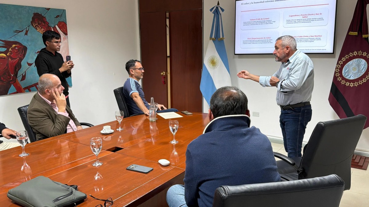 Ante la posible llegada de El Niño, la Municipalidad refuerza las tareas de prevención