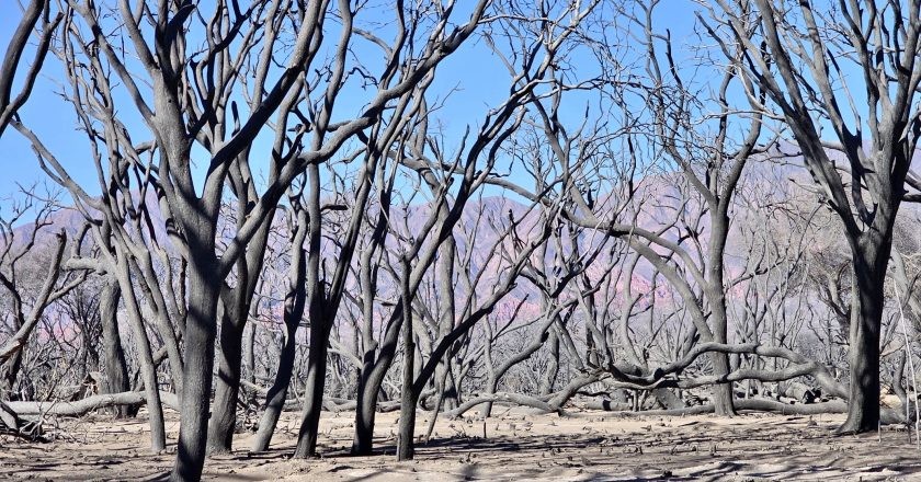 Cafayate: Geolocalización y antenas, claves para imputar a un hombre por dos incendios