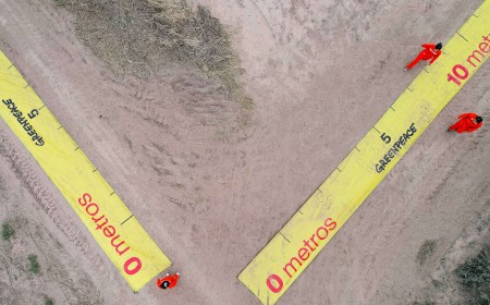 Karlen apeló por cuarta vez para evitar un embargo de $21.805 millones por desmontes ilegales