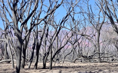 Cafayate: Geolocalización y antenas, claves para imputar a un hombre por dos incendios