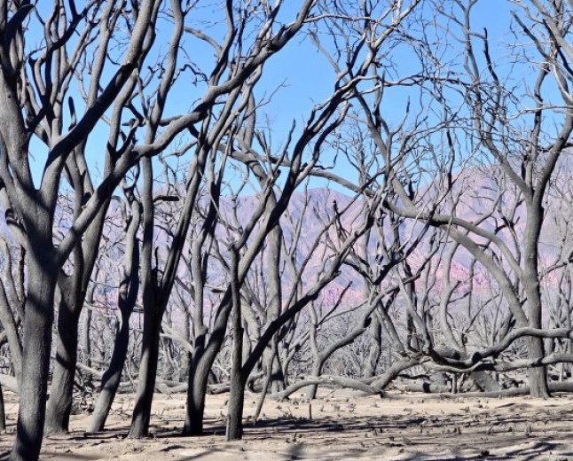 Cafayate: Geolocalización y antenas, claves para imputar a un hombre por dos incendios