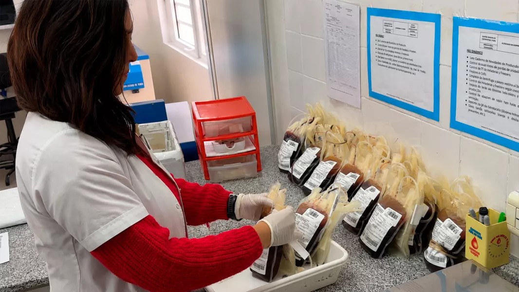 Salta podrá seguir cada unidad de sangre desde la donación hasta la transfusión