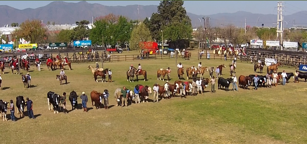 La Expo Rural abre con $1.100 millones para financiar inversiones ganaderas