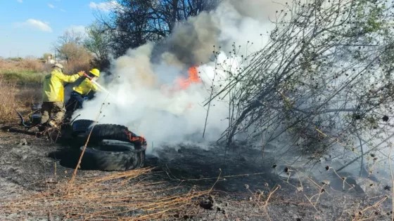 Incendio en Villa Lola: Seis hectáreas afectadas cerca de viviendas