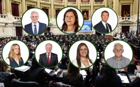 Salta: Siete diputados, un solo voto