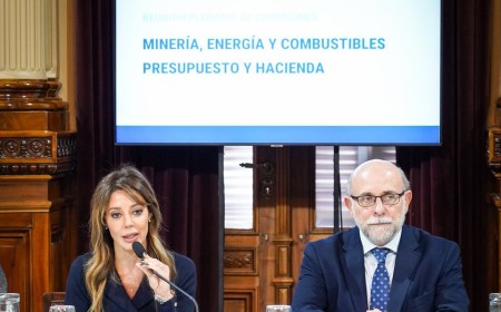Royón se queda con una comisión clave para Salta