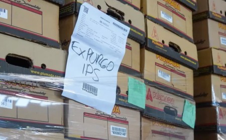 El Estado eliminó más de 7.500 cajas de archivos del IPS tras cumplir el plazo legal