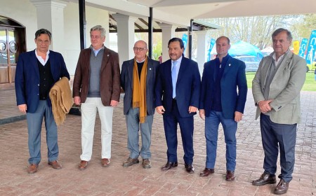 Salta quiere duplicar su stock ganadero: el desafío que dejó la Expo Rural