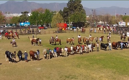 La Expo Rural abre con $1.100 millones para financiar inversiones ganaderas