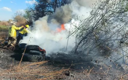 Incendio en Villa Lola: Seis hectáreas afectadas cerca de viviendas