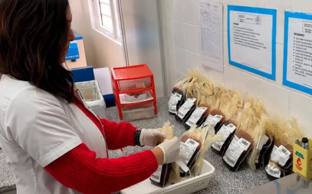 Salta podrá seguir cada unidad de sangre desde la donación hasta la transfusión