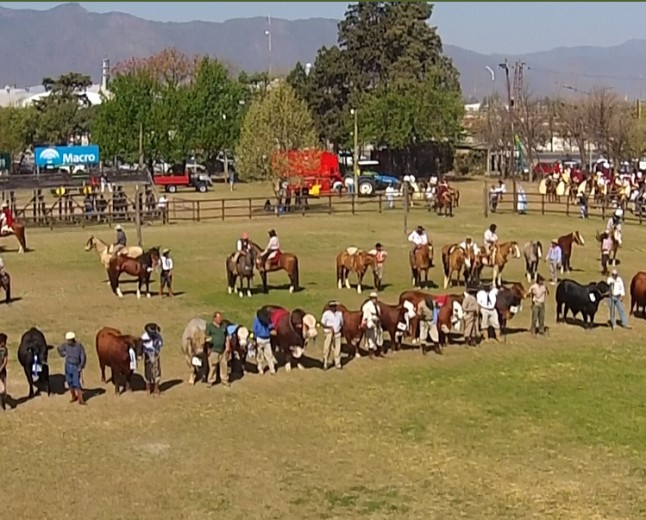 La Expo Rural abre con $1.100 millones para financiar inversiones ganaderas