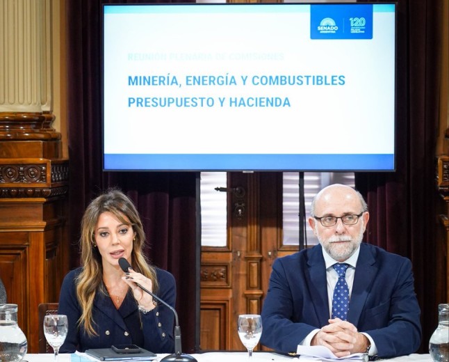 Royón se queda con una comisión clave para Salta
