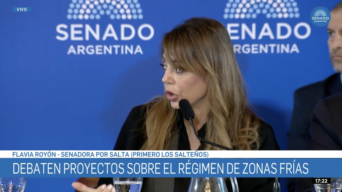 Royón cuestionó que el norte subsidie el gas de hogares de altos ingresos