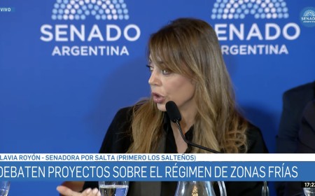 Royón cuestionó que el norte subsidie el gas de hogares de altos ingresos