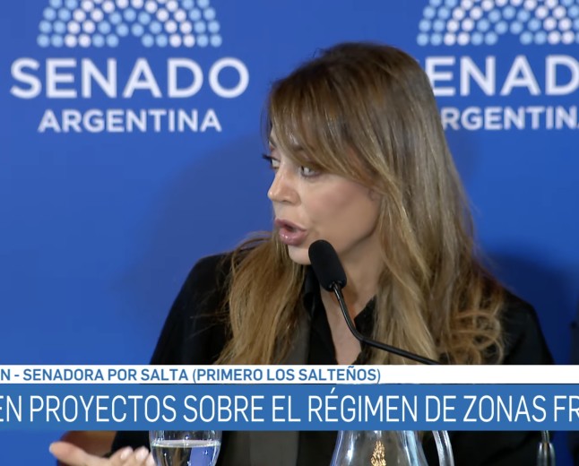 Royón cuestionó que el norte subsidie el gas de hogares de altos ingresos